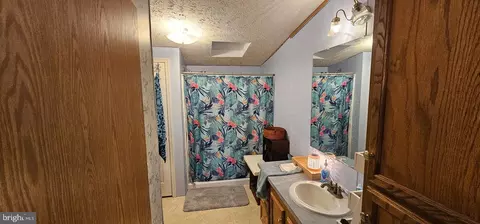 26977 Osprey Cir, Hebron, MD 21830 photo 14