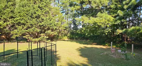 26977 Osprey Cir, Hebron, MD 21830 photo 20