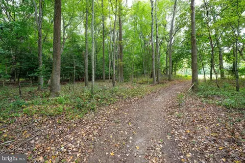 26585 Quantico Creek Rd, Hebron, MD 21830 photo 48