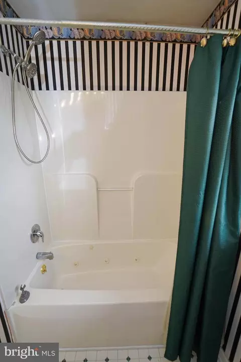 Bath - 30332 Dagsboro Rd, Salisbury, MD 21804 photo 8 of 8