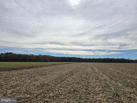 0 Richardson Rd, Willards, MD 21874 photo 30