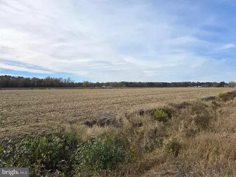 0 Richardson Rd, Willards, MD 21874 photo 25