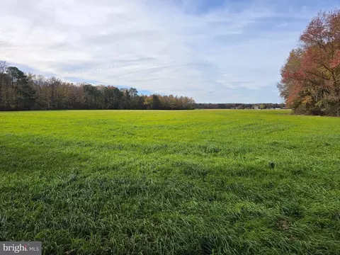 0 Richardson Rd, Willards, MD 21874 photo 11