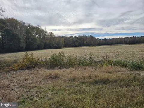 0 Richardson Rd, Willards, MD 21874 photo 17