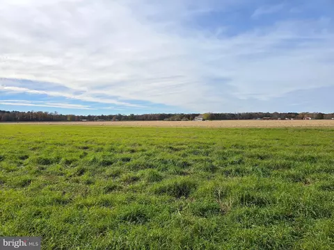 0 Richardson Rd, Willards, MD 21874 photo 7