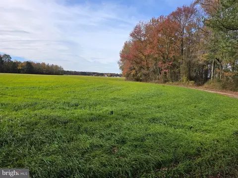 0 Richardson Rd, Willards, MD 21874 photo 10
