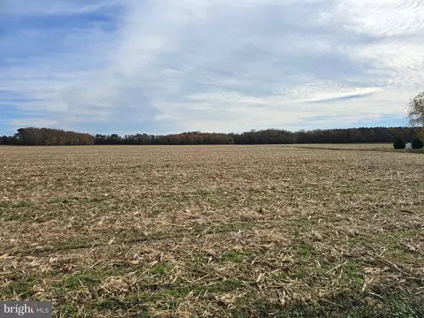 0 Richardson Rd, Willards, MD 21874
