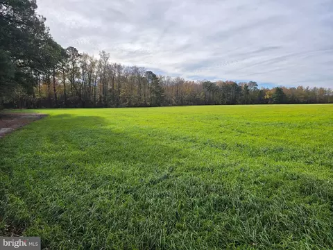 0 Richardson Rd, Willards, MD 21874 photo 12