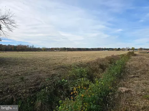 0 Richardson Rd, Willards, MD 21874 photo 22
