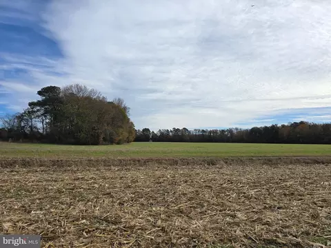 0 Richardson Rd, Willards, MD 21874 photo 31