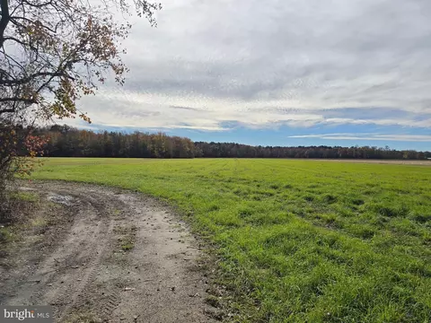 0 Richardson Rd, Willards, MD 21874 photo 9