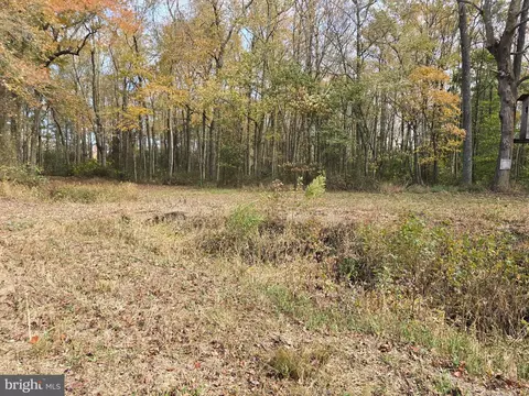 0 Richardson Rd, Willards, MD 21874 photo 14