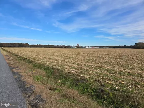 0 Richardson Rd, Willards, MD 21874 photo 4