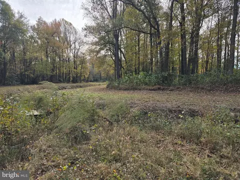 0 Richardson Rd, Willards, MD 21874 photo 15