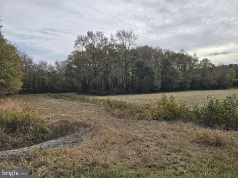 0 Richardson Rd, Willards, MD 21874 photo 18