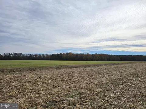 0 Richardson Rd, Willards, MD 21874 photo 29