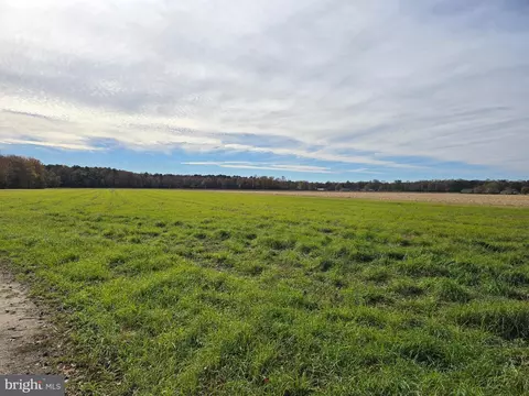 0 Richardson Rd, Willards, MD 21874 photo 8