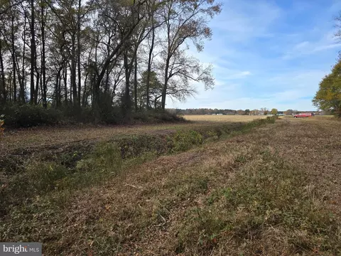 0 Richardson Rd, Willards, MD 21874 photo 16