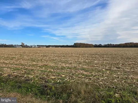 0 Richardson Rd, Willards, MD 21874 photo 2