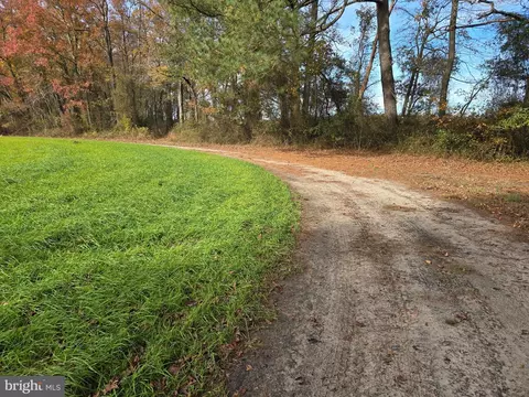 0 Richardson Rd, Willards, MD 21874 photo 21