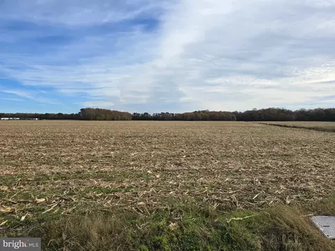 0 Richardson Rd, Willards, MD 21874 photo 3