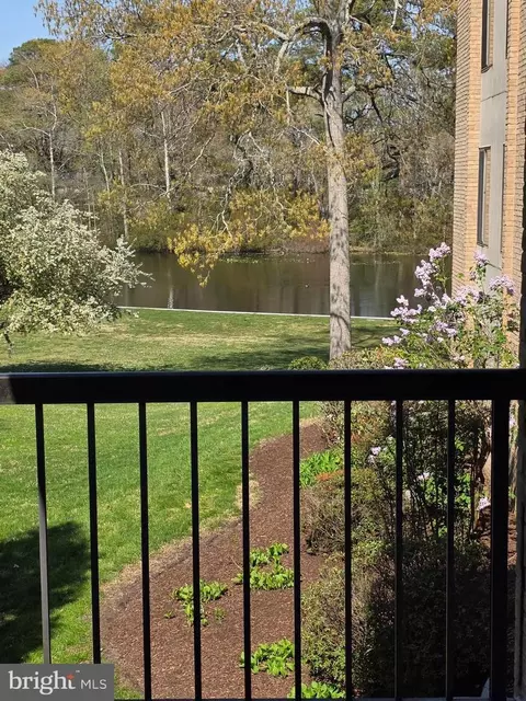 227 Canal Park Dr #206, Salisbury, MD 21804