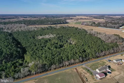 0 Bent Pine Rd, Willards, MD 21874 photo 3