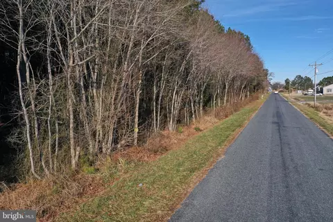 0 Bent Pine Rd, Willards, MD 21874 photo 5