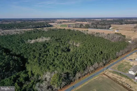 0 Bent Pine Rd, Willards, MD 21874 photo 2