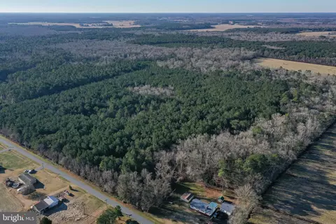 0 Bent Pine Rd, Willards, MD 21874 photo 6