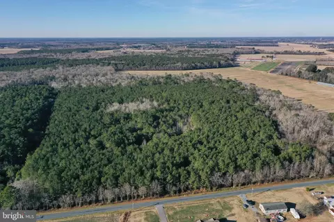 0 Bent Pine Rd, Willards, MD 21874 photo 4