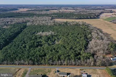 0 Bent Pine Rd, Willards, MD 21874