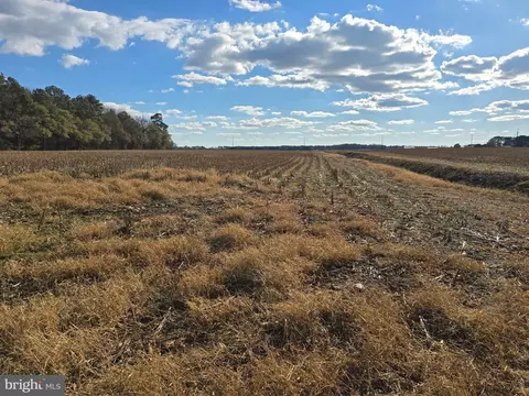 0 Lot 2 Poplar Neck Rd, Willards, MD 21874 photo 7