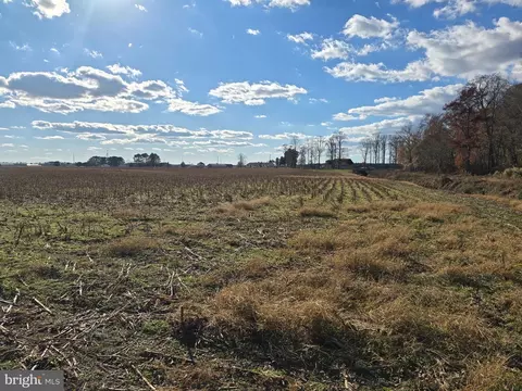 0 Lot 2 Poplar Neck Rd, Willards, MD 21874 photo 10