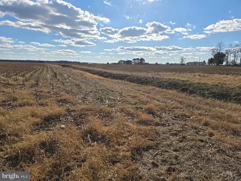0 Lot 2 Poplar Neck Rd, Willards, MD 21874 photo 13