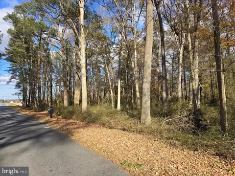 0 Lot 2 Poplar Neck Rd, Willards, MD 21874 photo 8