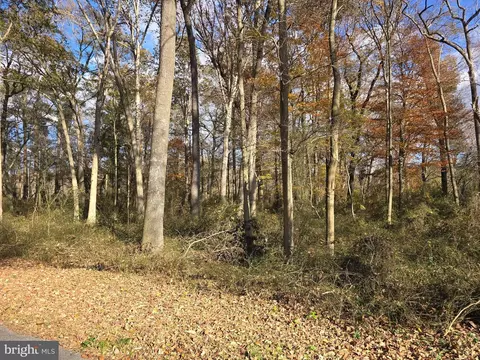0 Lot 2 Poplar Neck Rd, Willards, MD 21874 photo 14