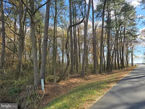 0 Lot 2 Poplar Neck Rd, Willards, MD 21874 photo 16
