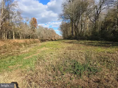 0 Lot 2 Poplar Neck Rd, Willards, MD 21874 photo 12