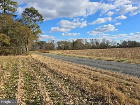 0 Lot 2 Poplar Neck Rd, Willards, MD 21874 photo 4