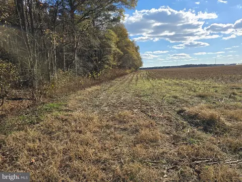 0 Lot 2 Poplar Neck Rd, Willards, MD 21874 photo 11