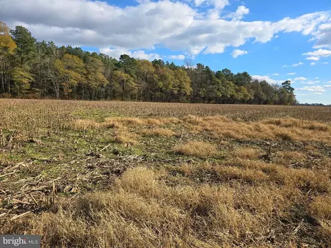 0 Lot 2 Poplar Neck Rd, Willards, MD 21874 photo 6