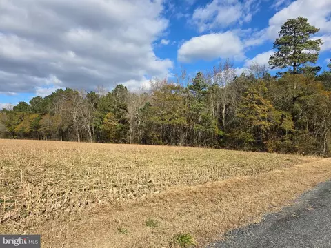 0 Lot 2 Poplar Neck Rd, Willards, MD 21874 photo 2