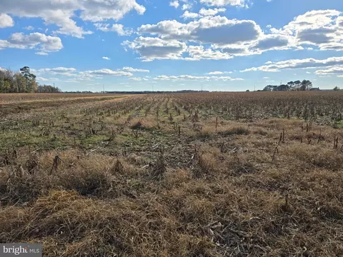 0 Lot 2 Poplar Neck Rd, Willards, MD 21874 photo 17