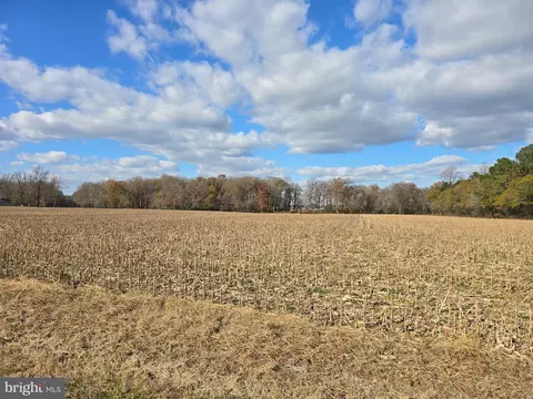 0 Lot 2 Poplar Neck Rd, Willards, MD 21874 photo 3