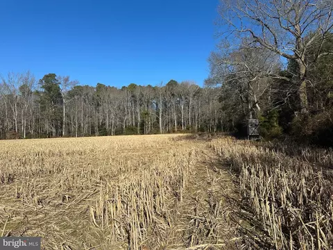 0 Bivalve Lodge Rd, Bivalve, MD 21814