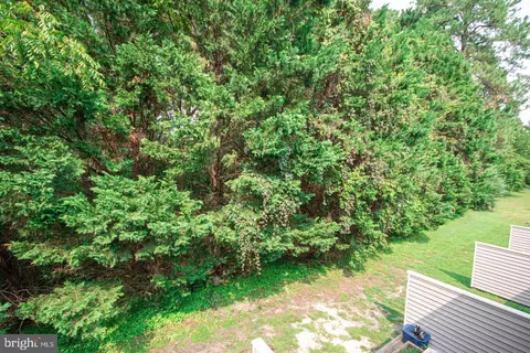 730 Canvasback Ct, Salisbury, MD 21804 photo 38