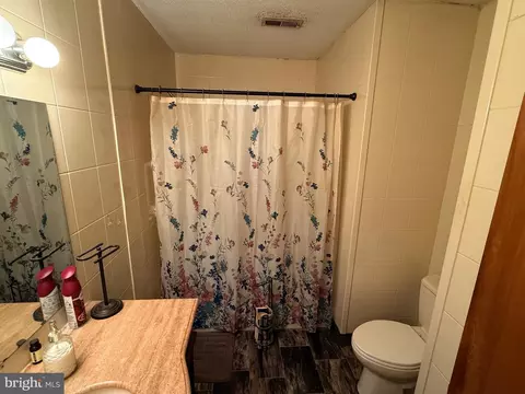 Bath - 7592 Green Lewis Rd, Willards, MD 21874 photo 4 of 5