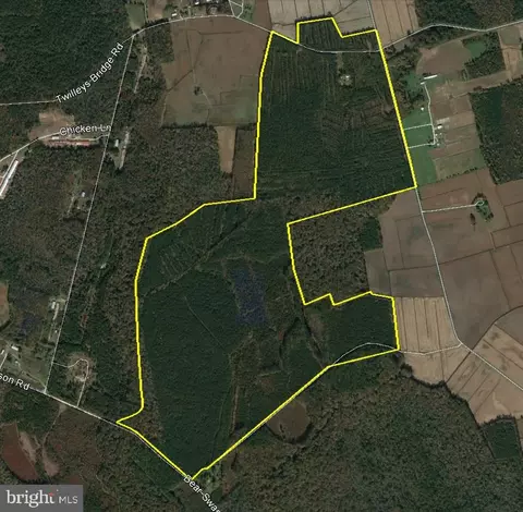 0 Bear Swamp Rd, Parsonsburg, MD 21849