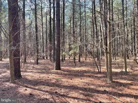 Foskey Lane, Delmar, MD 21875 photo 3